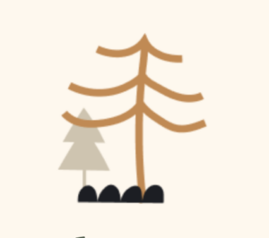 Illustration of a stylized tree with curved branches and a small gray tree in the background.